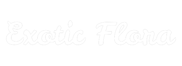sc-client-exoticflora-v3
